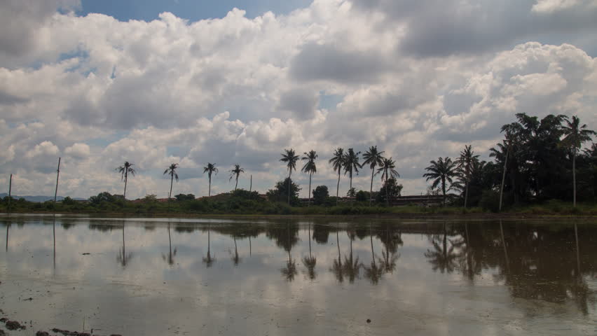 Wetlands landscape under the clouds image - Free stock photo - Public ...