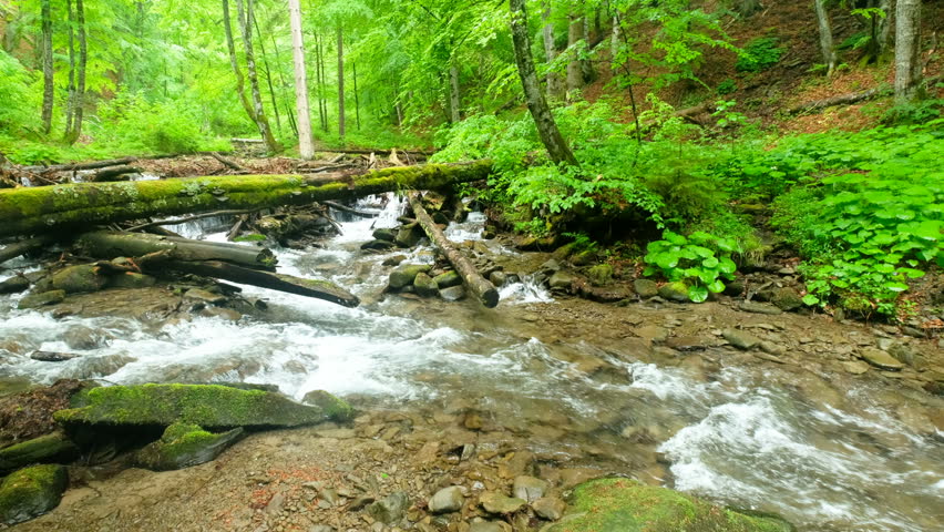 Streams and landscape in Great Smoky Mountains National Park, Tennessee ...