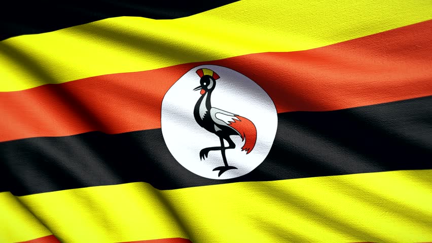 Uganda Flag Stock Video Footage - 4K and HD Video Clips | Shutterstock