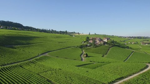 4K ungraded Aerial footage of Vineyard fields between Lausanne and Geneva in Switzerland -UHD