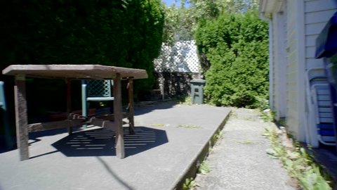 Dog On Patio Furniture Stock Video Footage 4k And Hd Video Clips