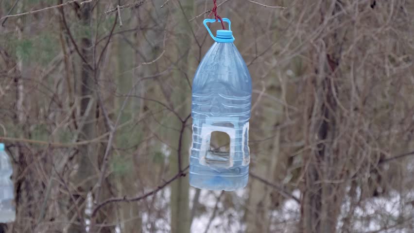 Bird Feeder Made From Used Stock Footage Video 100 Royalty Free