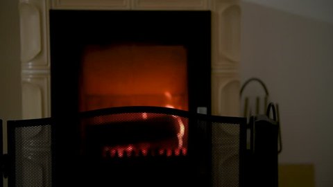 Firewood Burning In A Fireplace Stock Footage Video 100 Royalty