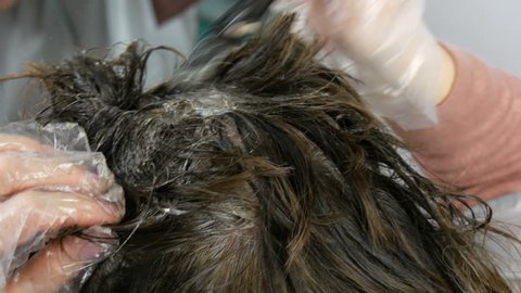 Hair Root Stock Video Footage 4k And Hd Video Clips Shutterstock