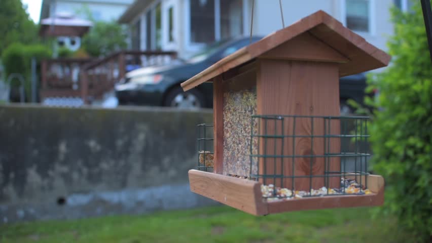 A Bird Feeder Hanging From Stock Footage Video 100 Royalty Free