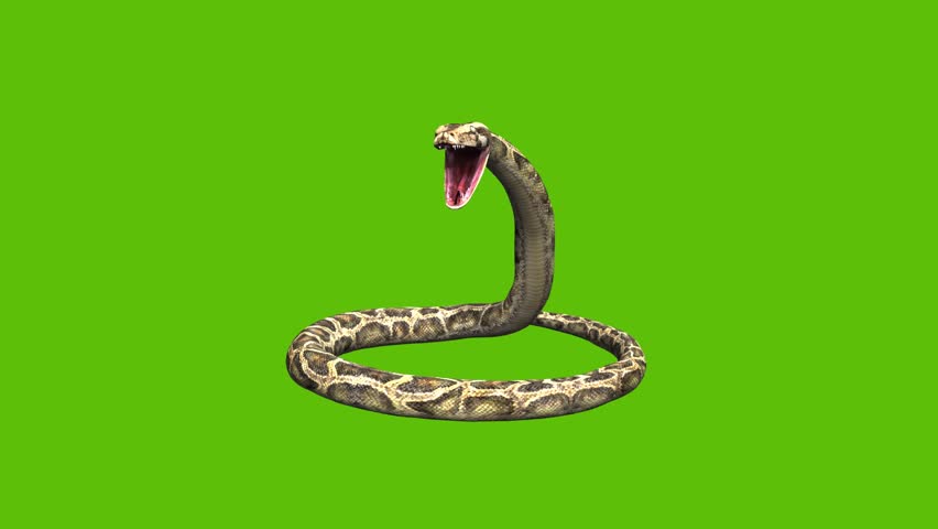downloadable screen snake