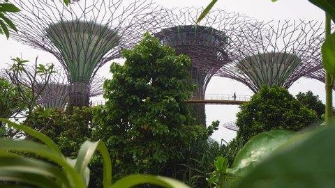 4k Singapore Park Gardens By Stockvideos Filmmaterial 100
