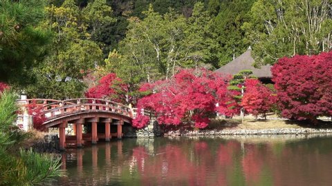 Japanese Garden And Elementary School Stock Footage Video 100