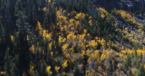 Aspen Colorado Stock Video Footage - 4K and HD Video Clips | Shutterstock