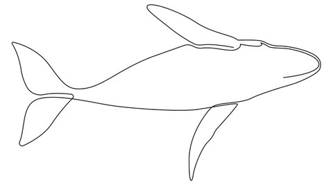 Simple Whale Tail Drawing - Rwanda 24