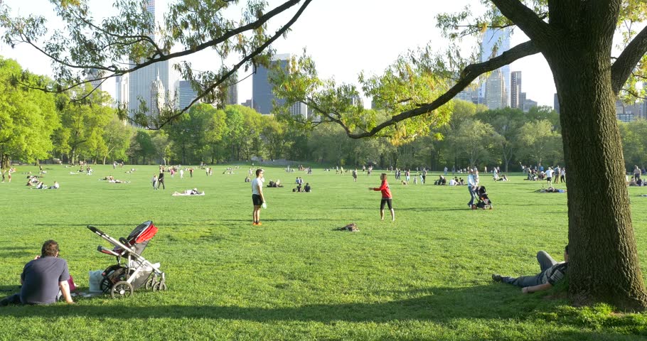 New York City - May Stock Footage Video (100% Royalty-free) 10474451