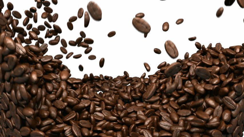 Coffee Beans On White Background Royalty Free Stock Video In 4K And HD Coffee Beans On White Background Royalty Free Stock Video In 4K And HD