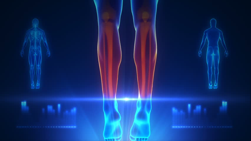 Header of body