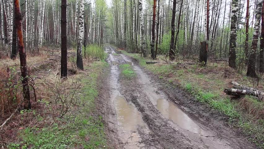 Фото сломанной автодороги в лесу