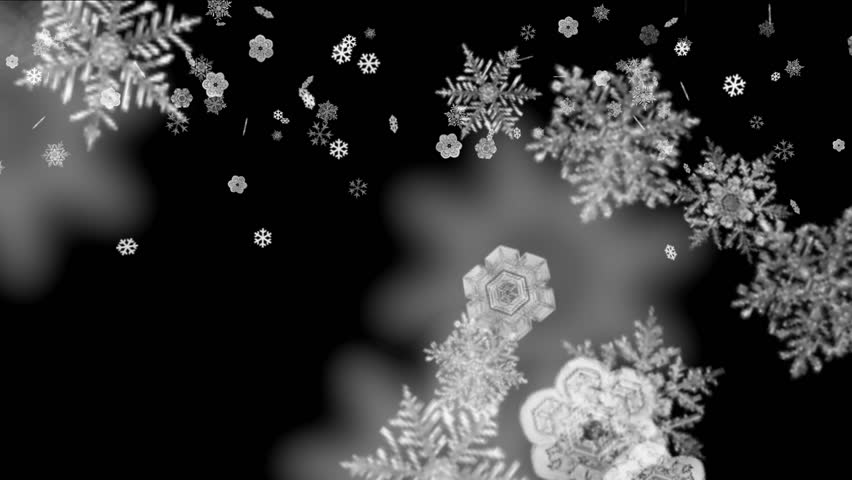 4k Abstract Snowflake Falling,cold Winter Snow Background,romantic ...