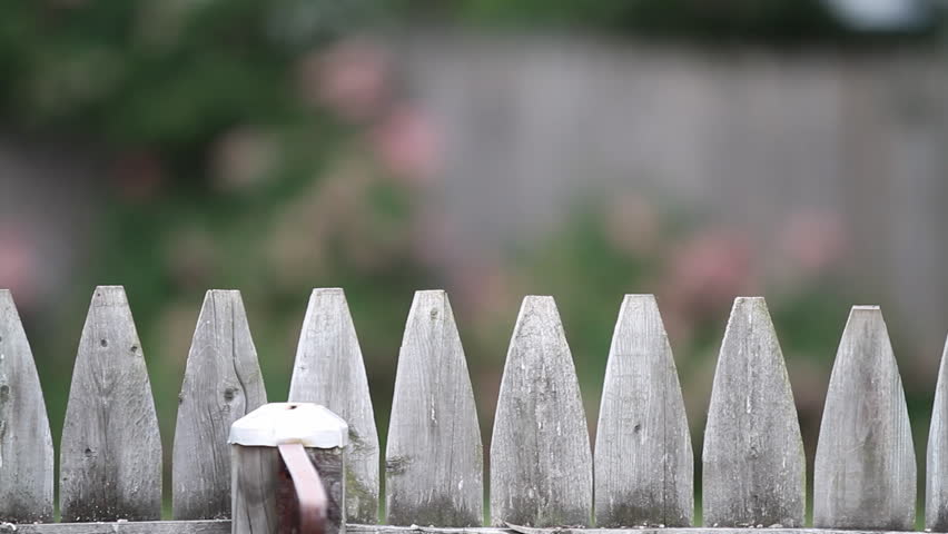 Old Fence Dolly Left To Stock Footage Video 100 Royalty Free Old Fence Dolly Left To Right Hd 1080p Shot Of The Tip A Picket From Slow Motion Shallow Depth Field Flowers In