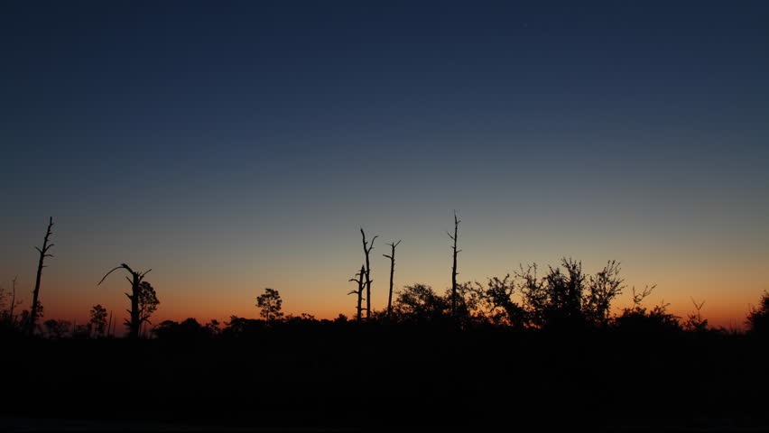 First Light of Dawn