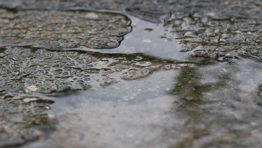 Stock video of rain is falling on the pavement, | 1317061 | Shutterstock