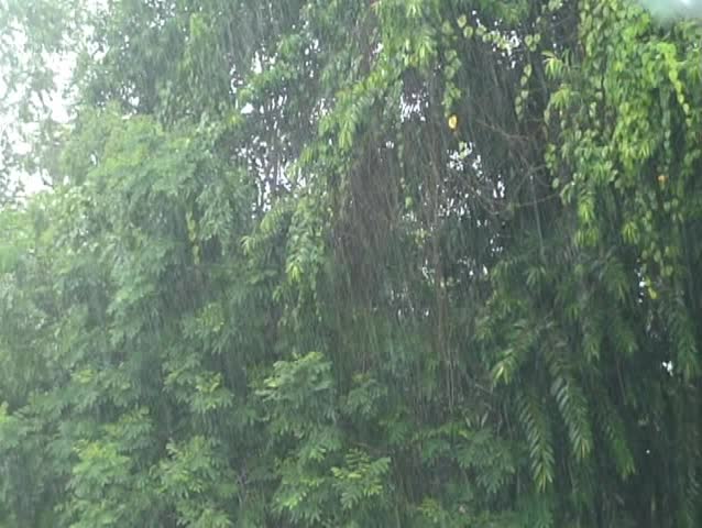 Rain Showers Weather Rain Showers Weather