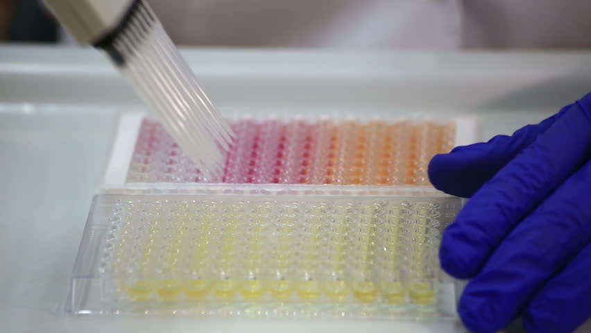 Header of antibody