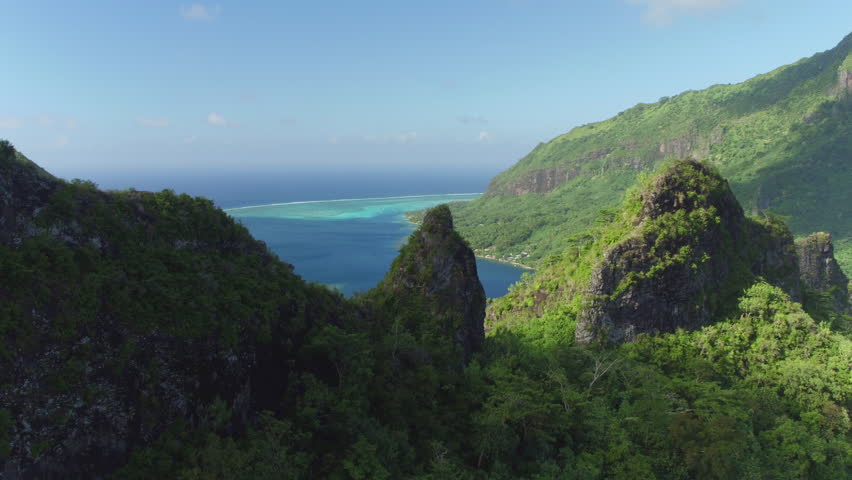 Forest and Jungle Overlook image - Free stock photo - Public Domain ...