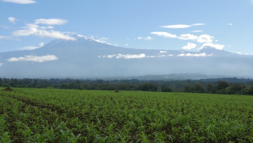 Mount Kilimanjaro In Tanzania - 4K Ultra HD Stock Footage Video ...