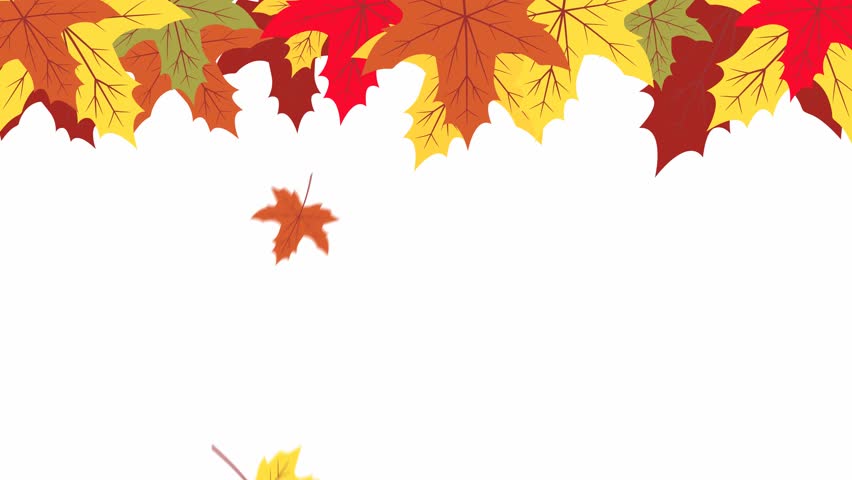 Fall Orange Leaves On White Background. Stock Footage Video 4643738