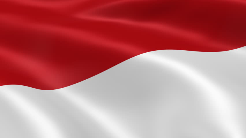 Indonesian Flag in the Wind Stock Footage Video 100 