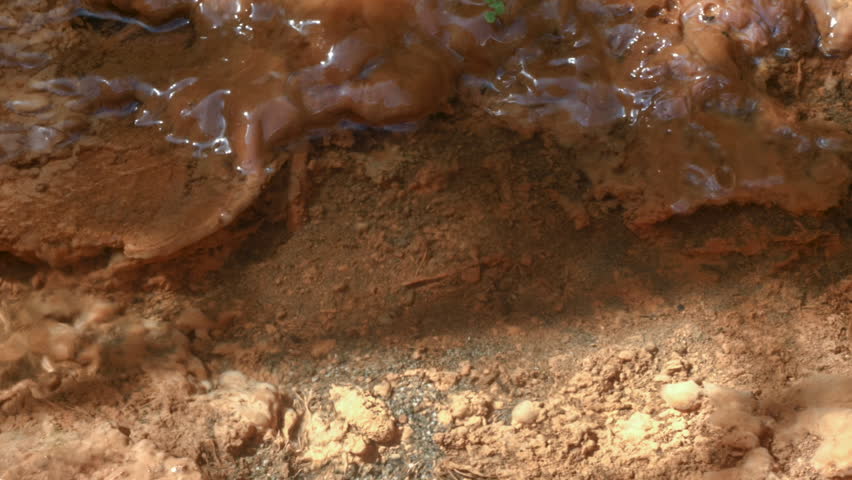 iron bacteria growing in a spring. 스톡 비디오 | 18408121 | Shutterstock