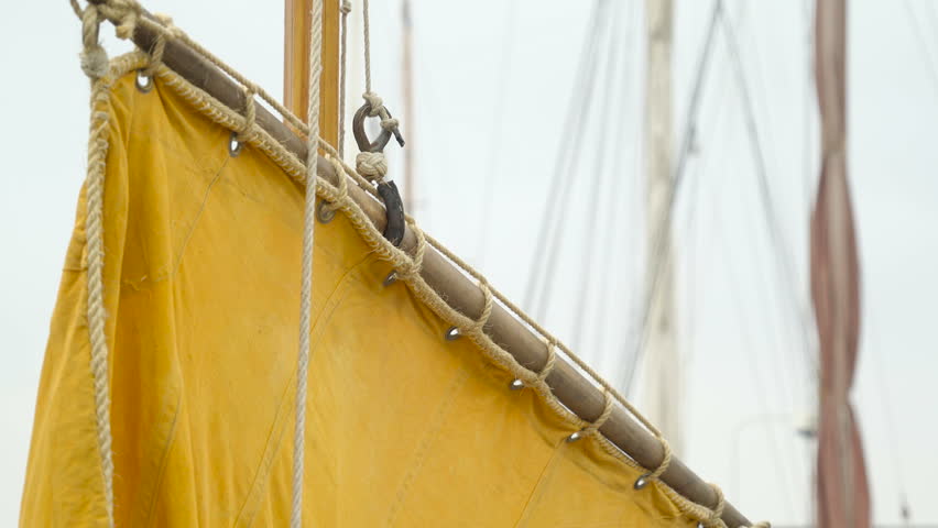 Header of velum