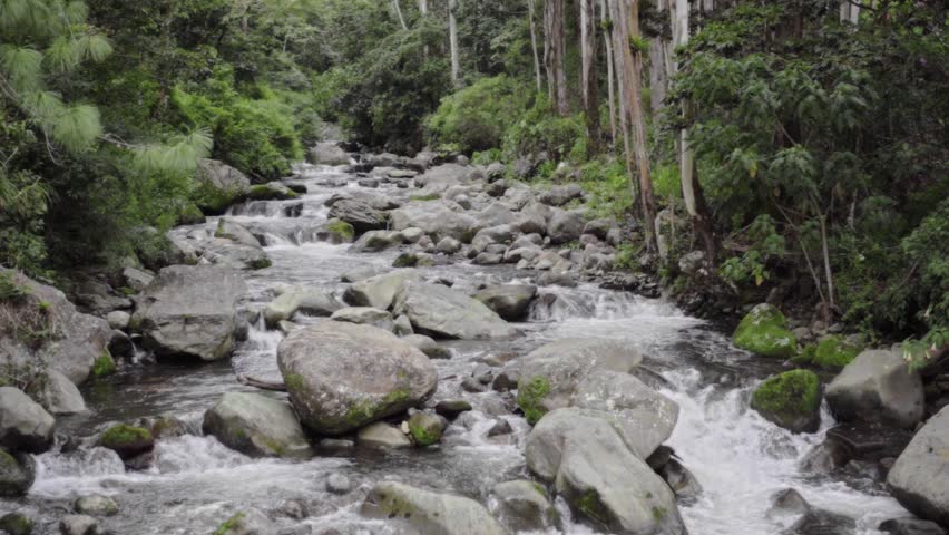 Cartoon karnataka aunt river hideen