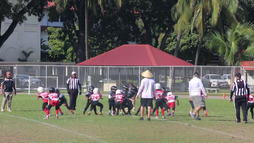 Header of peewee