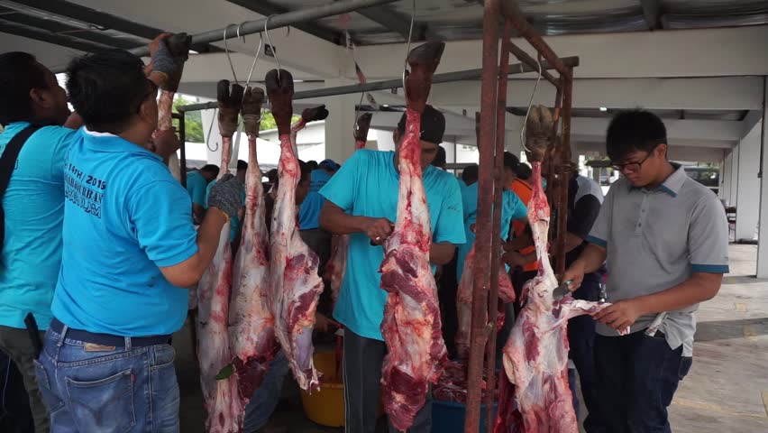 Muslims Help In Halal Slaughtering A Sheep During Eid Al 