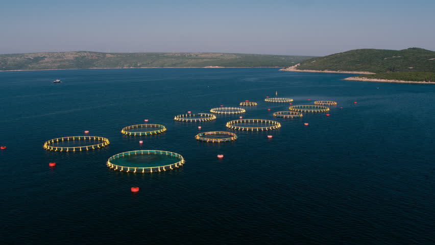 Stock Video Clip of Aerial - Raising above fish farm pools | Shutterstock