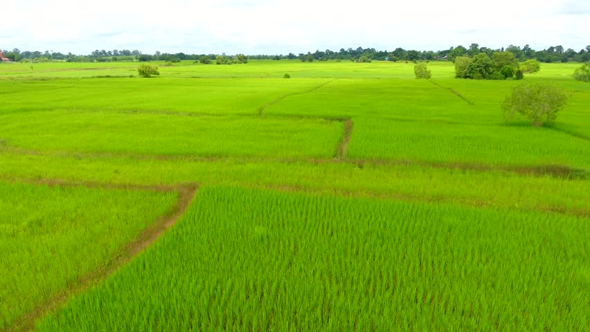 Related image