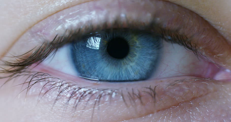 Stock video of perfect blue eye macro in a | 20559901 | Shutterstock