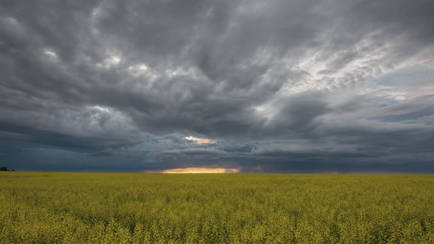 Hd Time-lapse Colorful Storm Sky Over Grain Field Stock Footage Video ...