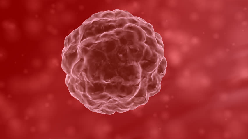 Animation of a Cancer Cell Stock Footage Video (100% Royalty-free