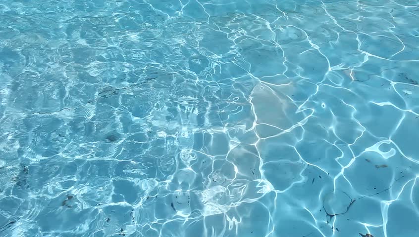 Swimming Pool Beach Ball Background colorful beach ball in pool stock footage video 7879420 | shutterstock Swimming Pool Beach Ball Background colorful beach ball in pool stock footage video 7879420 | shutterstock