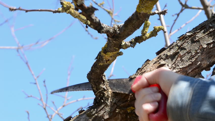 Header of fruiter