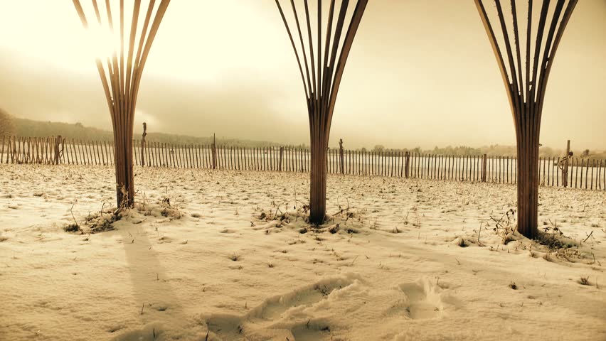 Header of tipi