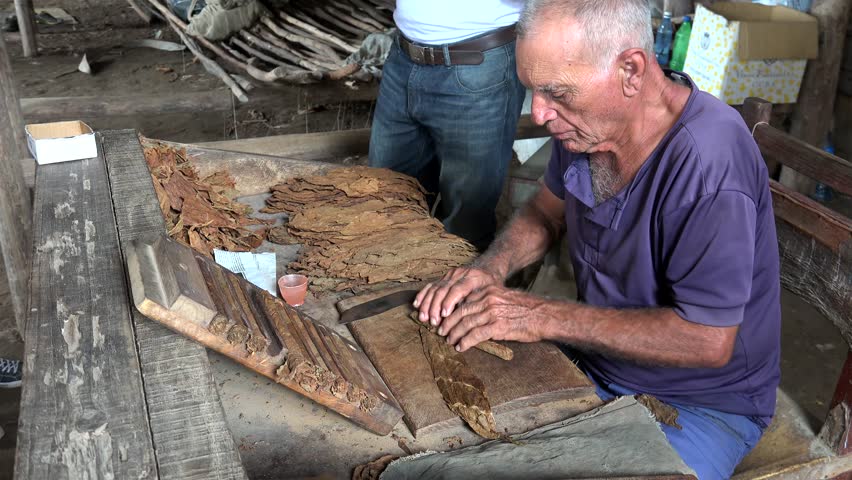 Î‘Ï€Î¿Ï„Î­Î»ÎµÏƒÎ¼Î± ÎµÎ¹ÎºÏŒÎ½Î±Ï‚ Î³Î¹Î± pinar del rÃ­o cuba cigars