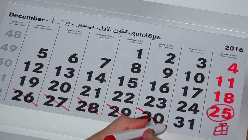 female 12 month calendar