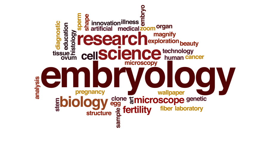 Header of embryology