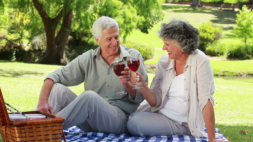 Image result for couple sharing picnic