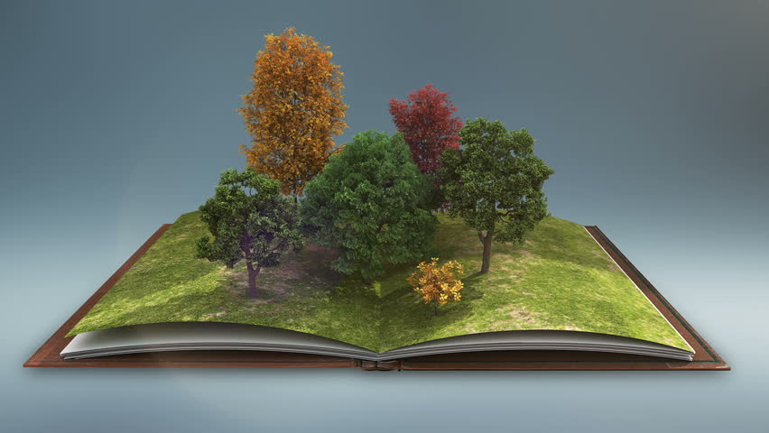 Open Book Makes Forest Tree, Nature Brown Background. Stock Footage ...