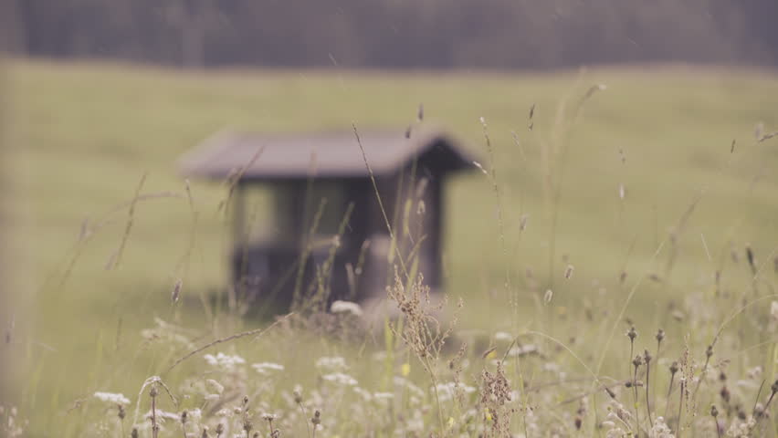Header of Greenfield