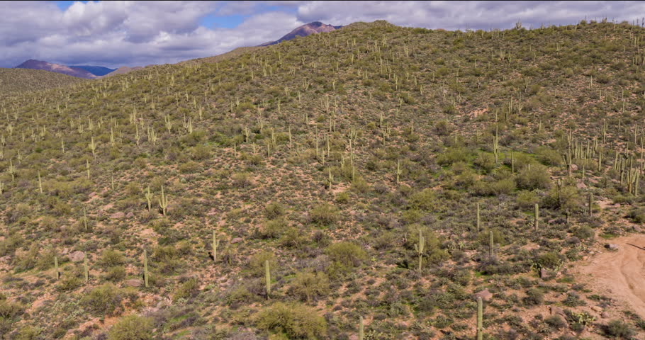 Header of arizona