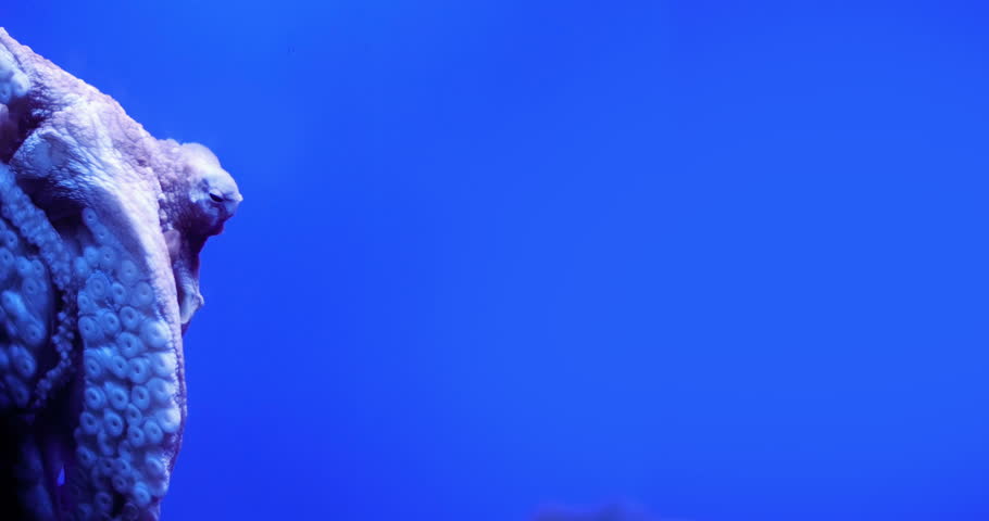 Header of far left