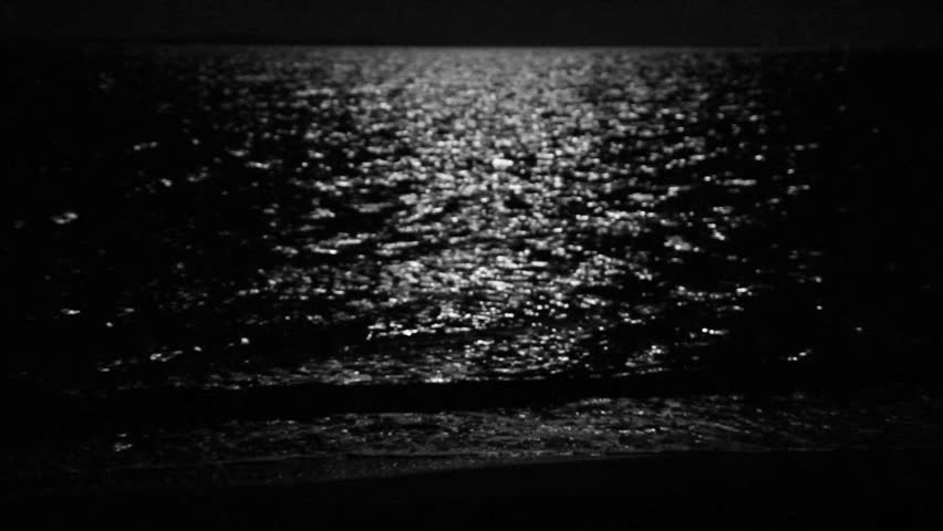 Header of moonbeam